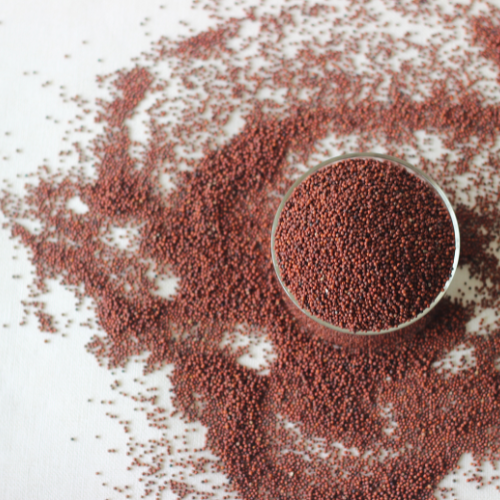 Sprouted ragi seeds
