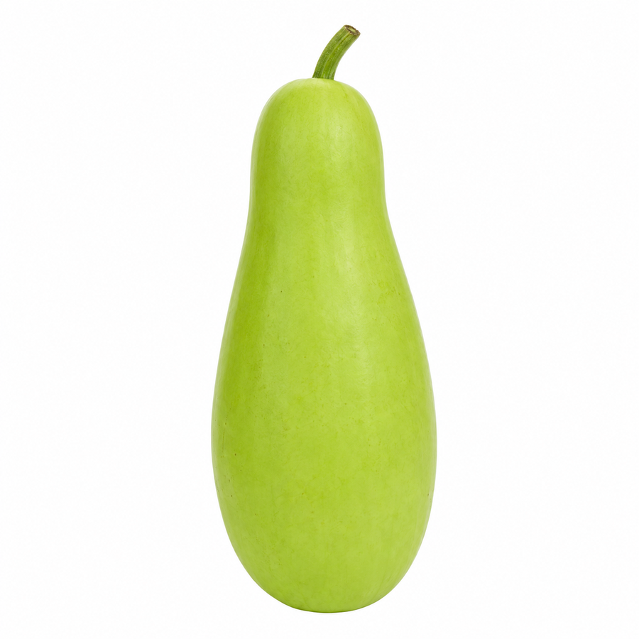 Organic Bottle Gourd (ಸೋರೆಕಾಯಿ | लौकी) 500g