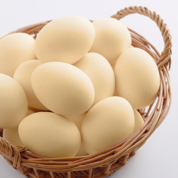 Country Egg (Naati / Desi)