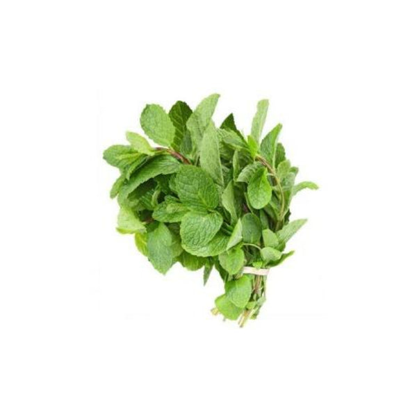 Organic Mint Leaves (Pudina) 100g
