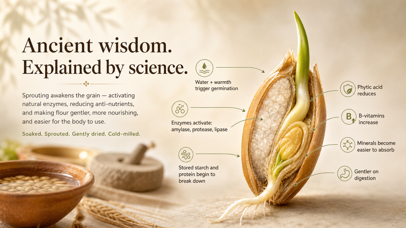 Dhatu Organics sprouted flours