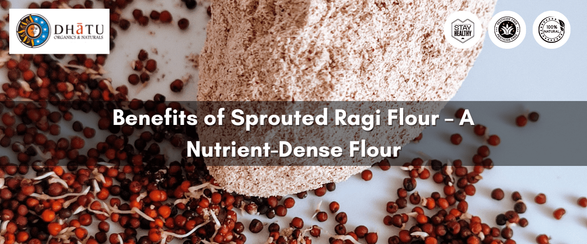 Sprouted ragi flour and ragi grains