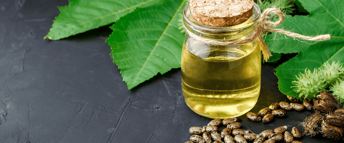 Black Castor Oil Healing Portion