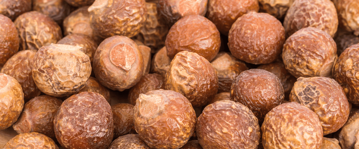 Dried soapnuts (reetha)