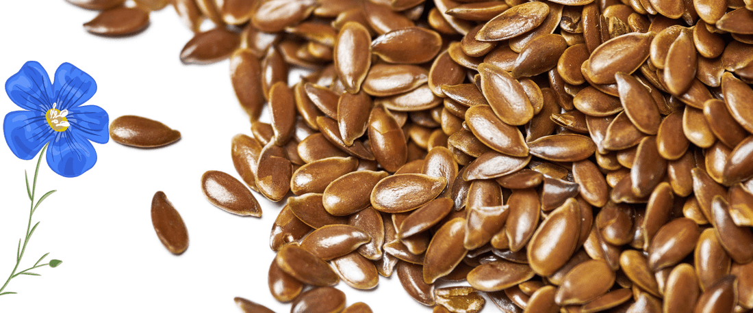 Flaxseeds