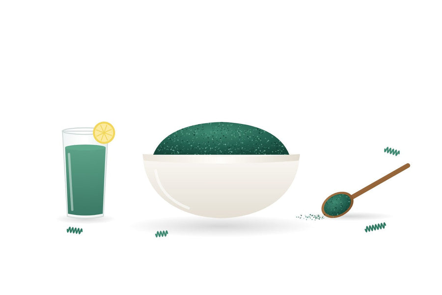 Illustration of a bowl of dark blue-green spirulina powder beside a glass of spirulina lemonade and a wooden spoon of powder
