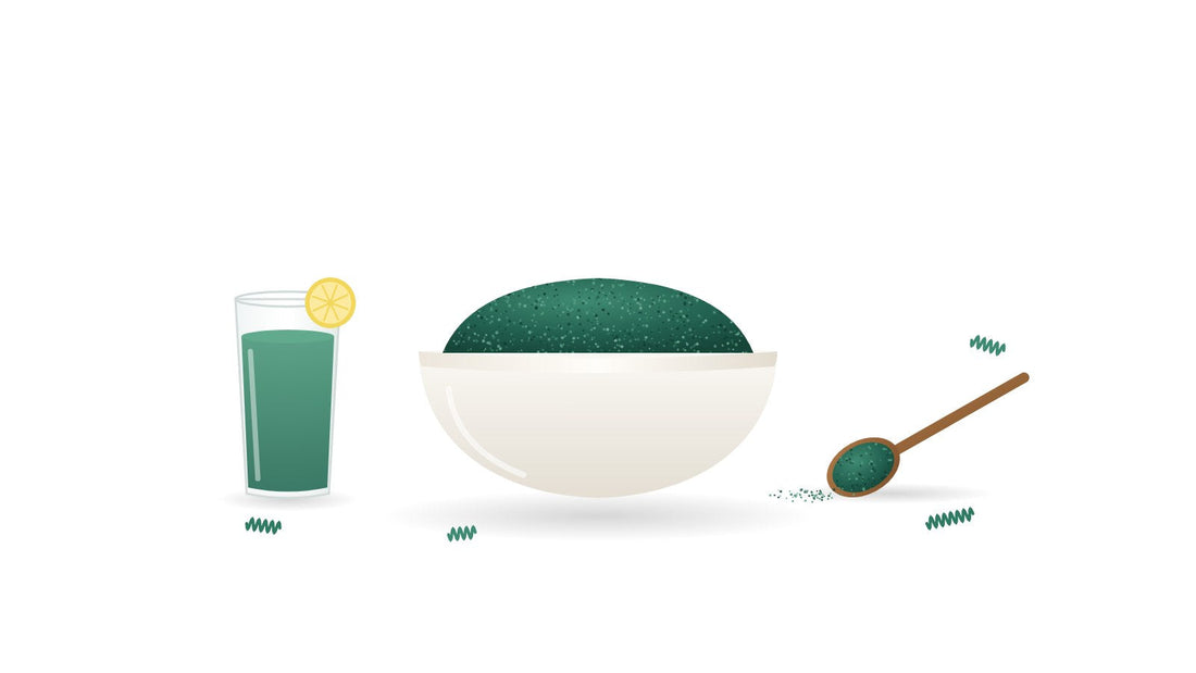 Illustration of a bowl of dark blue-green spirulina powder beside a glass of spirulina lemonade and a wooden spoon of powder