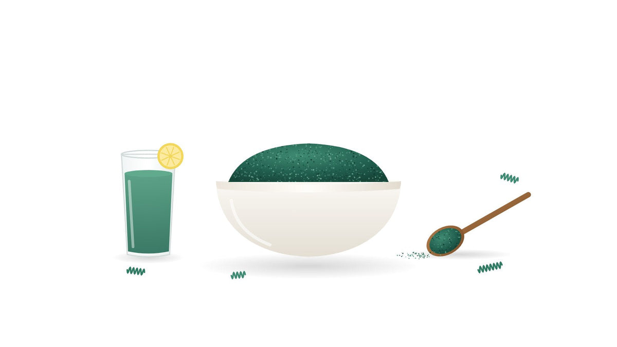 Illustration of a bowl of dark blue-green spirulina powder beside a glass of spirulina lemonade and a wooden spoon of powder
