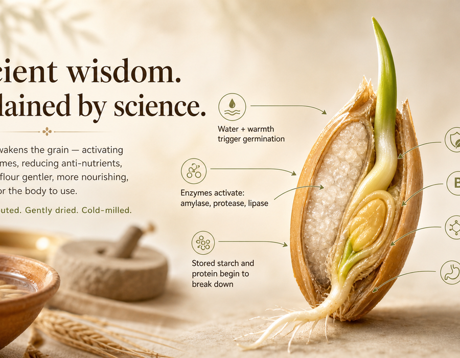 Sprouted Flours