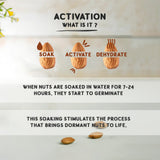Activated Almond Butter 175g | 500g