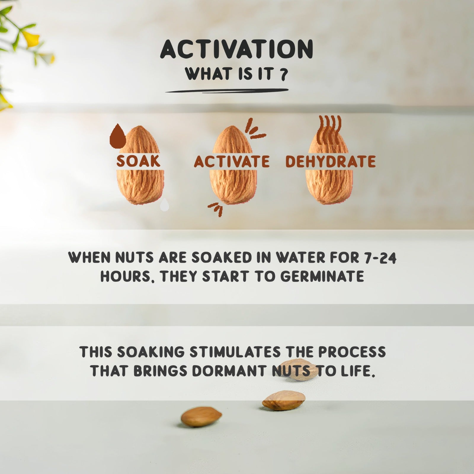 Activated Almond Butter 175g | 500g