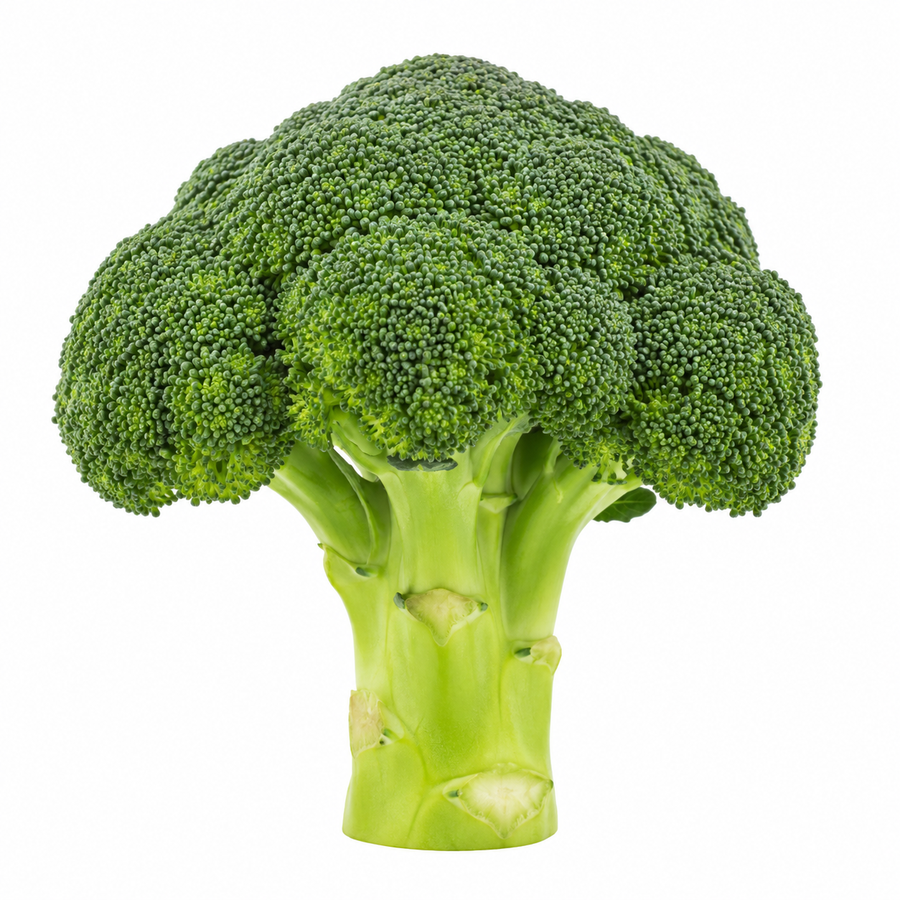 Organic Broccoli (ಬ್ರೊಕ್ಕೊಲಿ | हरी फूलगोभी) 250g