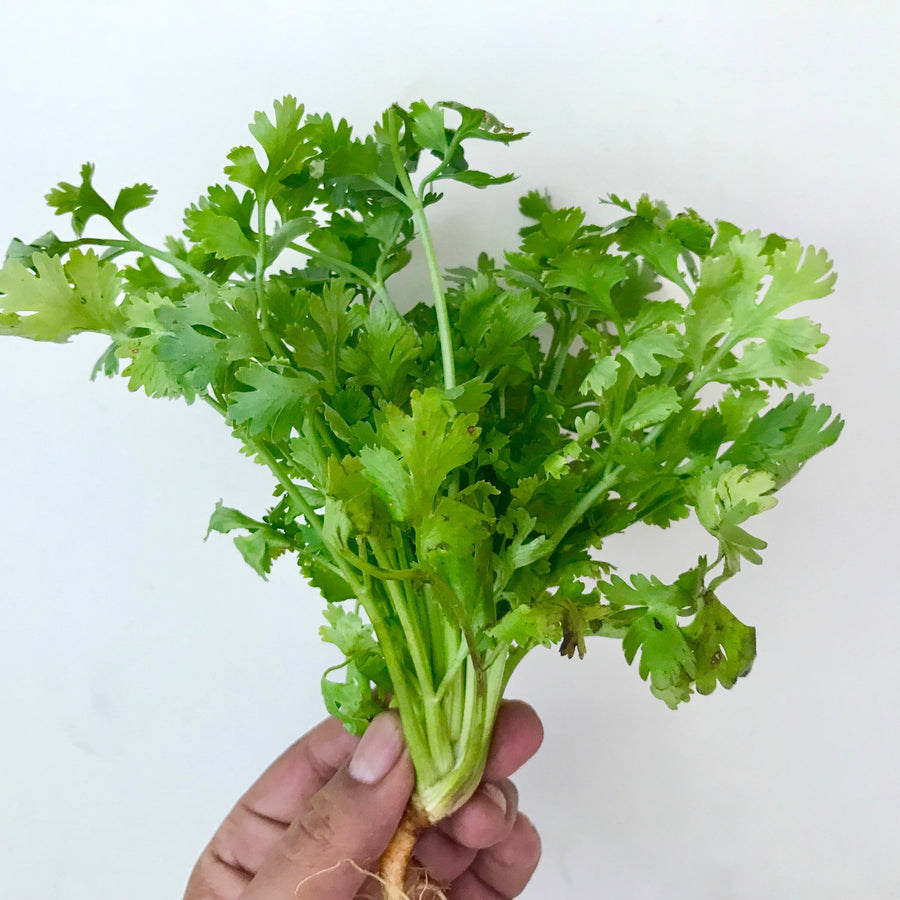 Organic Coriander Leaves (Dhaniya) 100g