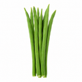 Organic Drumsticks (ನುಗ್ಗೆಕಾಯಿ | सहजन) 250g