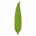 Organic Ridge Gourd (ಹೀರೆಕಾಯಿ | तोरी) 250g