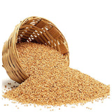 Organic kodo millet (varagu rice) – image 2 – Dhatu Organics
