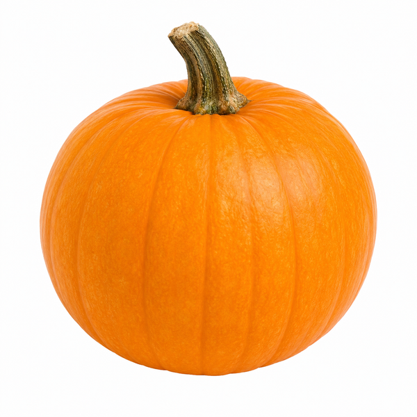 Organic Sweet Pumpkin (ಸಿಹಿ ಕುಂಬಳ | मीठा कद्दू) 500g
