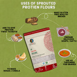 Organic Sprouted Moong Flour 250g